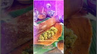 Dosa popular sath indian food sada Dosa recipe by Ruchi bharni kare बनाएं [upl. by Tomasz]