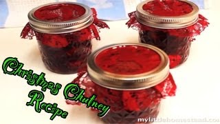 Homemade Cranberry Sauce Recipe  Simple Christmas Thanksgiving Chutney [upl. by Nivrem]