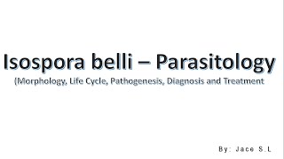 Isospora belli  Parasitology [upl. by Rysler]