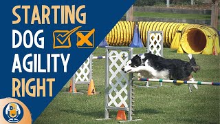 Dog Agility Training 3 Big Mistakes All Dog Owners Should Avoid 114 [upl. by Sivart576]