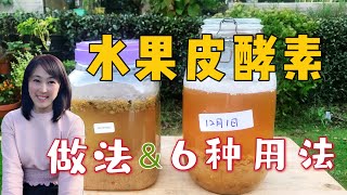 【种植39】水果皮环保酵素的制作方法，6种用途用法  酵素肥料、酵素防虫、酵素清洁剂怎么用，简单、天然、好闻 How to make fruit peel enzymes [upl. by Nywroc]