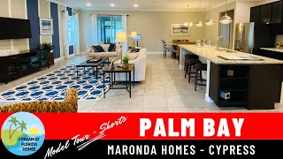 NEW Homes for Sale in Palm Bay Florida Shorts [upl. by Amargo909]