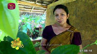 Ran Arunella  රන් අරුණැල්ල  Agriculture Program  20240706  Rupavahini [upl. by Ellerd808]