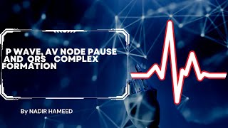 ECG P wave QRS complex and t wave [upl. by Vernon209]