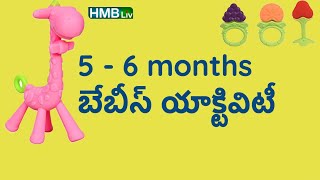 5 to 6 months baby toys and activity  HMBliv channel for pregnancy and child health [upl. by Ennaxor279]