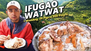 Eating Authentic WATWAT sa IFUGAO 1 Wedding 20 Pigs 1000 People RARE Ifugao Wedding in 24 hrs [upl. by Combe]