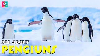 Pengiuns Facts For Kids  Fun Learning [upl. by Ynaitirb]