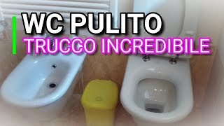 TRUCCO INCREDIBILE COME PULIRE IL WC CON IL BICARBONATO ACETO MARLINDA CANONICO [upl. by Ketchan]