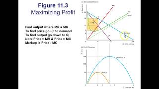 Profit Maximization output monopolist [upl. by Eldnar]