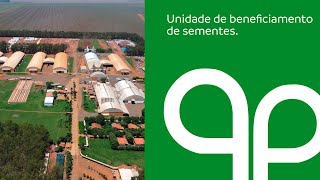 Unidade de Beneficiamento de Sementes Fazenda Farroupilha [upl. by Adnoyek218]