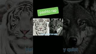 Pashto rap by wolf Khan rap freestyle hiphop rapper music pashtorap afghanirap [upl. by Burbank]