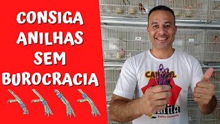 VEJA como conseguir ANILHAS para seus PÁSSAROS sem burocracia [upl. by Ordnajela85]