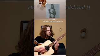 Taake  Hordalands doedskvad II blackmetal acousticguitar taake norway [upl. by Einalem]