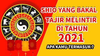 SHIO YANG BAKAL TAJIR MELINTIR DI TAHUN 2021 APA ITU KAMU [upl. by Rimidalv]