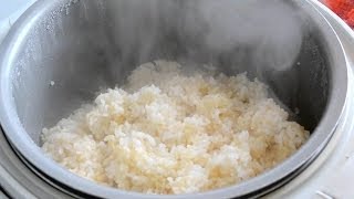 玄米の炊き方：発芽玄米の炊き方 How to cook germinated brown rice [upl. by Tsirhc]