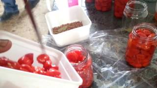 Canning peppadews Filling the bottles [upl. by Ydac]