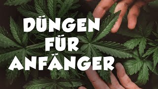 Wie man organisch düngt  für Anfänger [upl. by Tan]