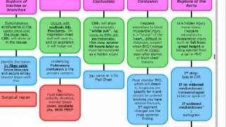 USMLE ALGORITHMSSURGERY CHEST TRAUMA [upl. by Aihsekat538]