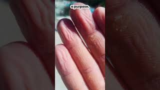 Why Do Your Fingers Wrinkle in Water facts shorts human finger share [upl. by Sixla]