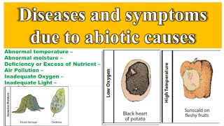 Abiotic Plant Disease  Non infectious Diseases in Plant Pathology [upl. by Yrnehnhoj]