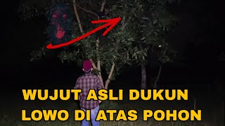 WUJUD ASLI DUKUN LOWO DIATAS POHON  dang rajo terbaru [upl. by Kyred]