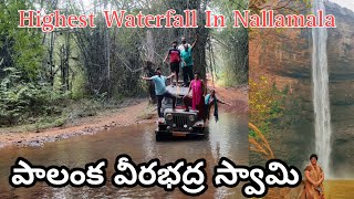 Highest Waterfall In Nallamala Forest  Palanka Veerabhadra Swamy Temple  AP  India [upl. by Gonzalo]