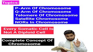 Concept Of Chromosome In Details In Urdu Hindi  Parm  Qarm  Telomere  NORs  Concept Of Ploids [upl. by Sue]