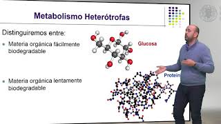 Metabolismo de las Bacterias Heterótrofas   UPV [upl. by Anippesuig125]