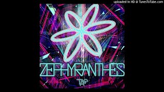 TAG  ZEPHYRANTHES [upl. by Obocaj]