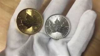 2019 Canadian Maples  Gold vs Platinum  Bullion Exchanges [upl. by Kerek]