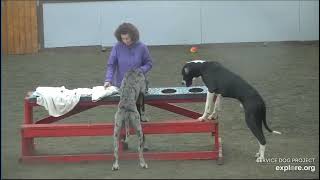 Arena Poppins brekkies DonnaC ChrisE 12112023 exploreorg [upl. by Stagg]