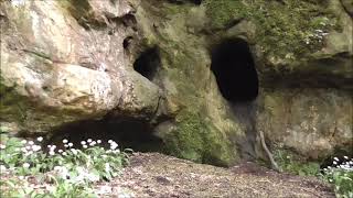 KENNOWAY DEN AND JOHN KNOXS CAVE SCOTLAND [upl. by Sseb]