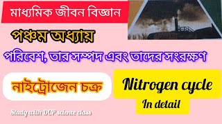 নাইট্রোজেন চক্র। মাধ্যমিক জীবন বিজ্ঞান। পঞ্চম অধ্যায়। WBBSE [upl. by Rasla]