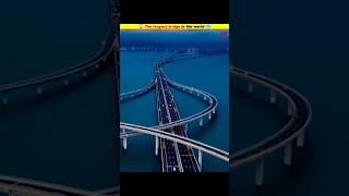 😱 The longest bridge in the world 🥶 shorts MRINDIANHACKER CrazyXYZ [upl. by Aicirt]