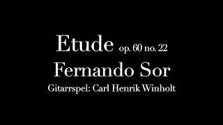 Fernando Sor  Op60 Nº22  Introducción al Estudio de la Guitarra [upl. by Liam164]