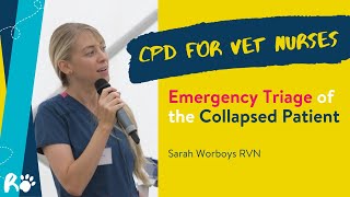 2  Emergency Triage of the Collapsed Patient with Sarah Worboys RVN  CPD [upl. by Aerdnaid194]