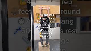 Your FIRST Hangboarding Session  Beginner Training for Strong Fingers  Lattice Tutorial Shorts [upl. by Eiznek]