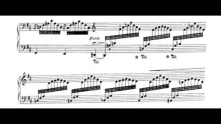 Jean Sibelius  5 Pieces for piano op75 no5 The Spruce wsheet [upl. by Sllew]