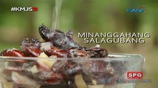 Kapuso Mo Jessica Soho Salagubang delicacy in Nueva Ecija [upl. by Chad941]