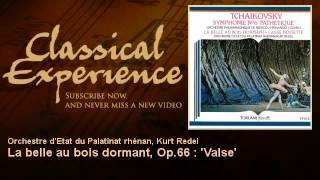 Piotr Ilyitch Tchaïkovsky  La belle au bois dormant Op66  Valse  ClassicalExperience [upl. by Alejoa]