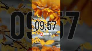 10 minute timer autumn shorts [upl. by Ithnan441]