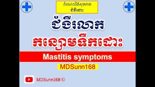 ជំងឺរលាកកន្សោមទឹកដោះ l Mastitis symptoms l ជំងឺដោះ l MDSunn168 [upl. by Eleonora]