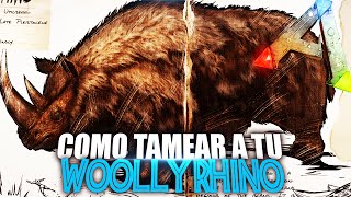 COMO TAMEAR A TU WOOLLY RHINO  Guia Español  Ark Survival Evolved [upl. by Hajar]