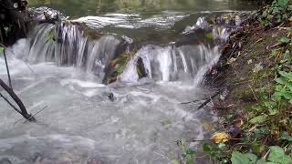 Water flows taken in Painswick Cotswolds fypシ゚viral youtube relaxing waterfall water [upl. by Naawaj]