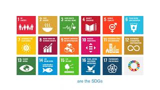 Introduction to the Sustainable Development Goals SDGs [upl. by Adihaj758]