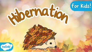 What is Hibernation  Hibernation for Kids [upl. by Nomyar]