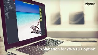 Explanation for ZWNTUT option new Network heal [upl. by Bac]