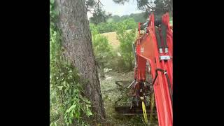 Clearing brush from a pond bank with Kubota kx0404 [upl. by Stempson485]