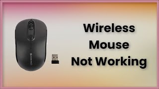 Wireless Mouse Not Working Windows  Fix [upl. by Nebeur]