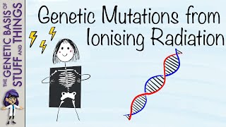 Xrays in action Unveiling genetic mutation by ionising radiation [upl. by Agustin]